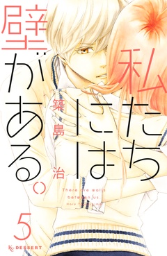 私たちには壁がある。-（５）