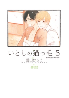 いとしの猫っ毛-５【初回限定小冊子付版】