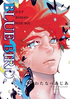 BLUE BIRD. D.S.P ROMEO SIDE SOL-本編