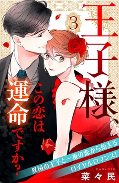 王子様、この恋は運命ですか？　［ｃｏｍｉｃ　ｔｉｎｔ］　分冊版-（３）
