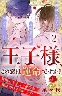 王子様、この恋は運命ですか？　［ｃｏｍｉｃ　ｔｉｎｔ］　分冊版-（２）
